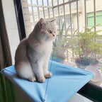 Pet Hammock, 20 kg , window seat