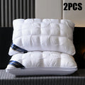 2-Piece Pillow Set