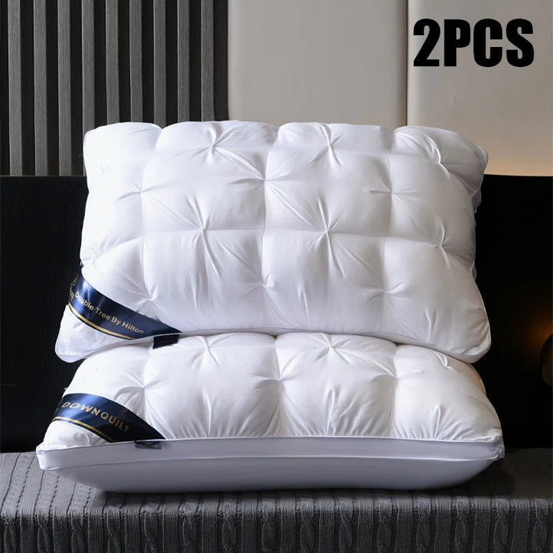 2-Piece Pillow Set