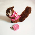 2pcs/set Hamster Harness / Leash Walking Set