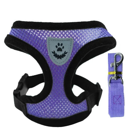 Small Pet Harness Vest, Leash