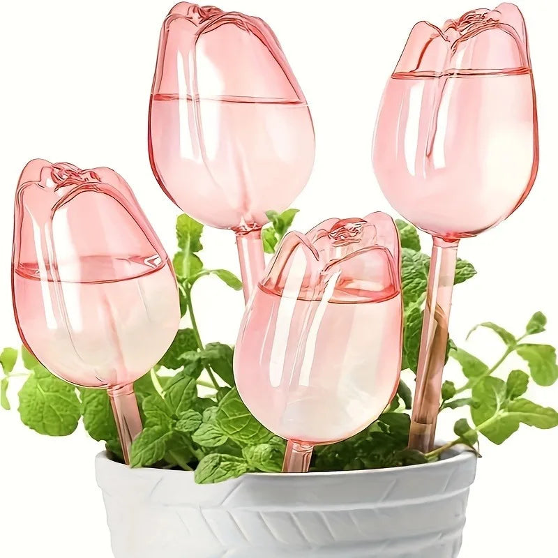 Pink tulip plant watering balls