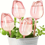 Pink tulip plant watering balls