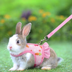 Rabbit Harness with Leash