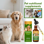 Pet Nutrition Supplement Probiotic Drops
