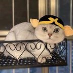Cute Cat Hat