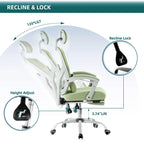 Ergonomic Reclining Computer Chair