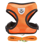Small Pet Harness Vest, Leash