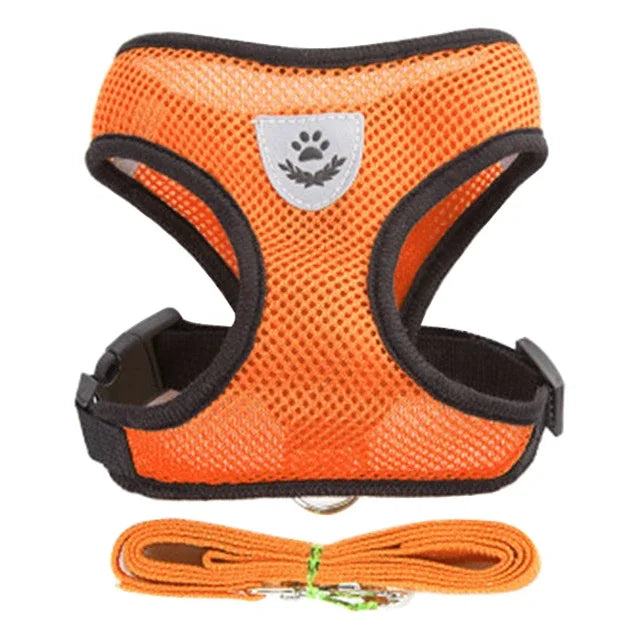 Small Pet Harness Vest, Leash