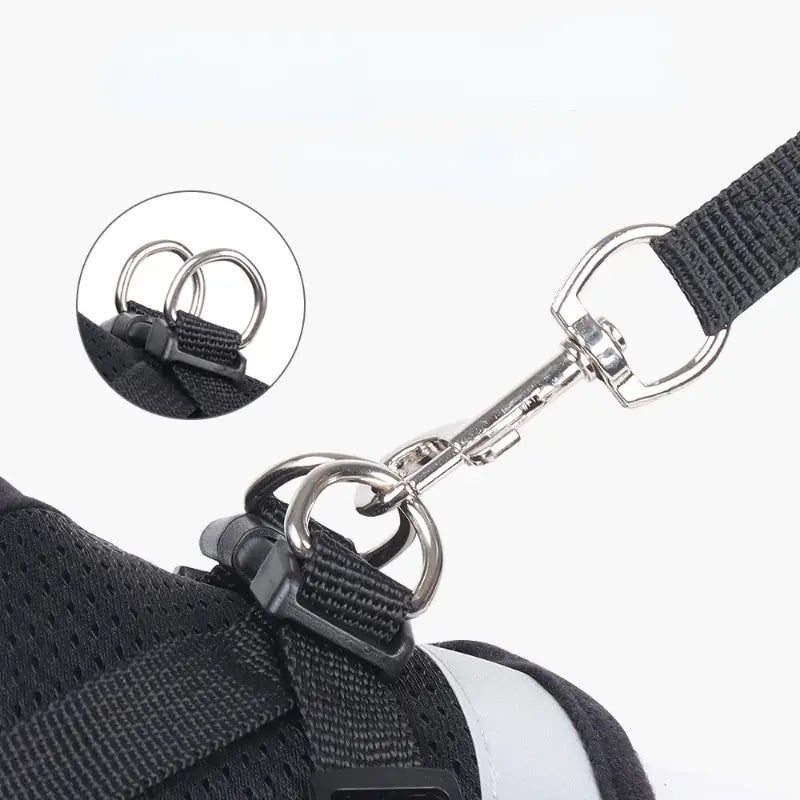 Pet Leash/ Harnesses