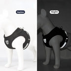 Pet Leash/ Harnesses