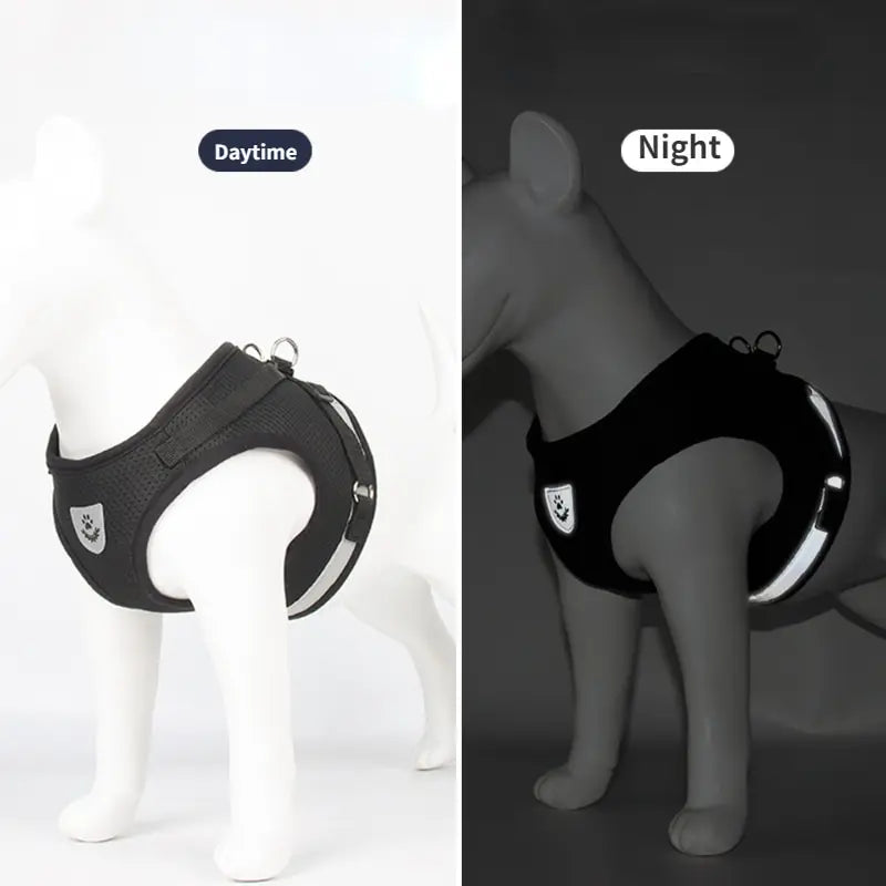 Pet Leash/ Harnesses