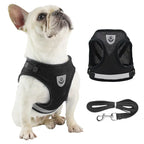 Pet Leash/ Harnesses
