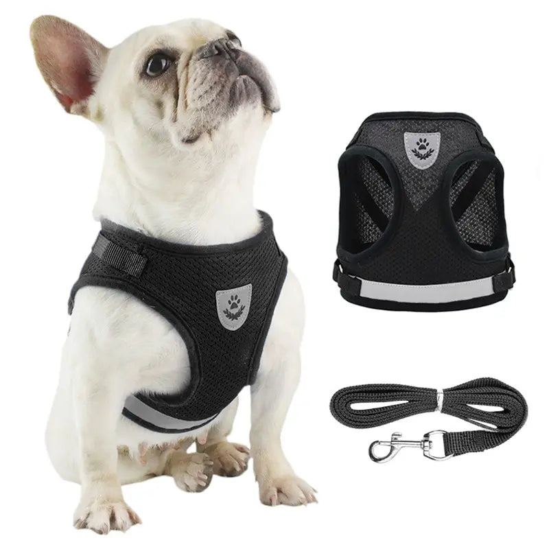 Pet Leash/ Harnesses