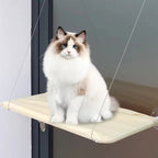 Window Hammock Mounted Securely