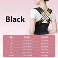 Back Support Belt