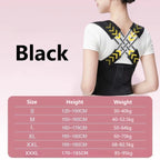 Back Support Belt