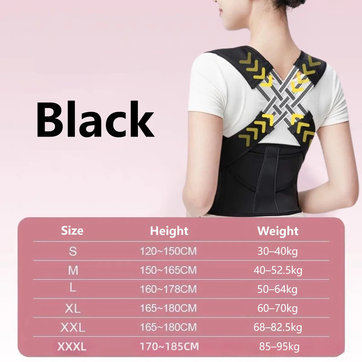 Back Support Belt