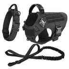Pet Harness, Leash, Collar Set
