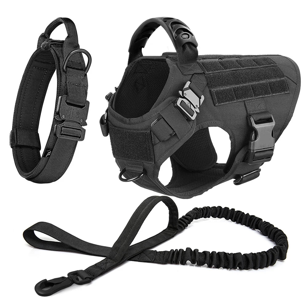 Pet Harness, Leash, Collar Set
