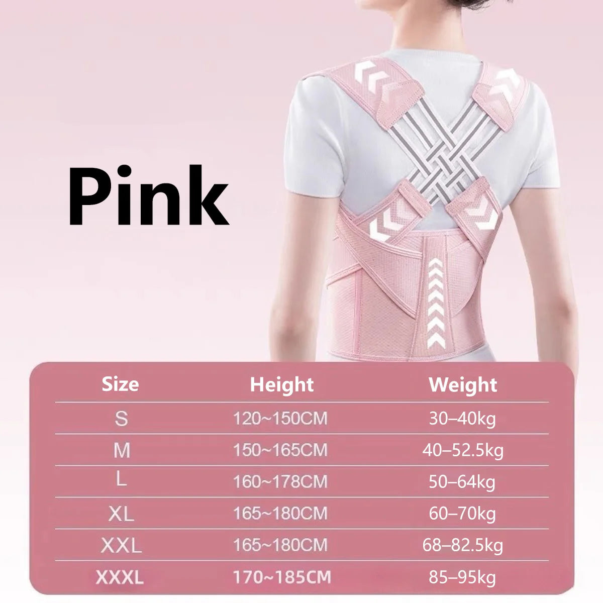 Back Support Belt