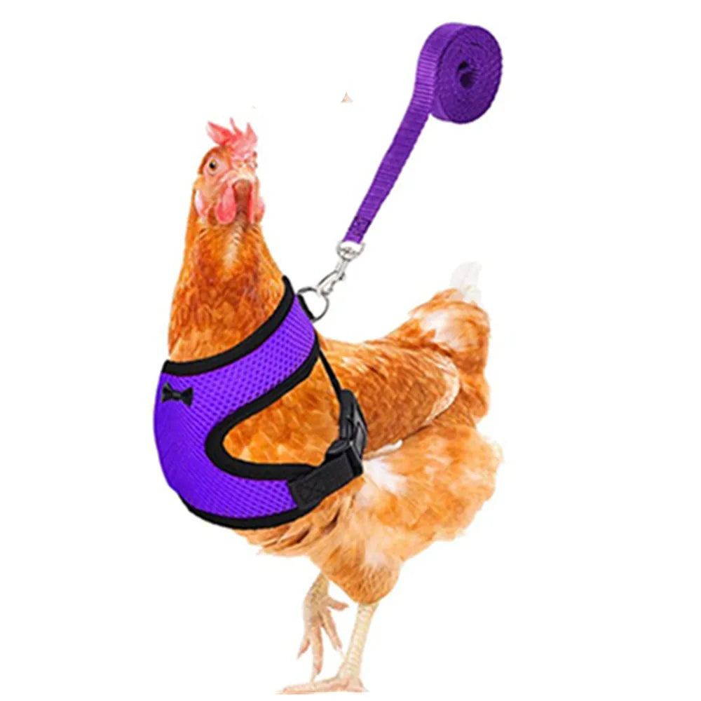 Fashion Chicken Vest /Belt Pet Harness