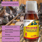 Birds use liver essence, regulate immunity.