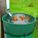 Rain Water Bucket