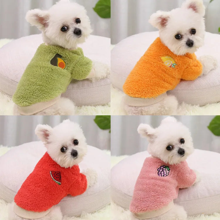 Pet Clothes