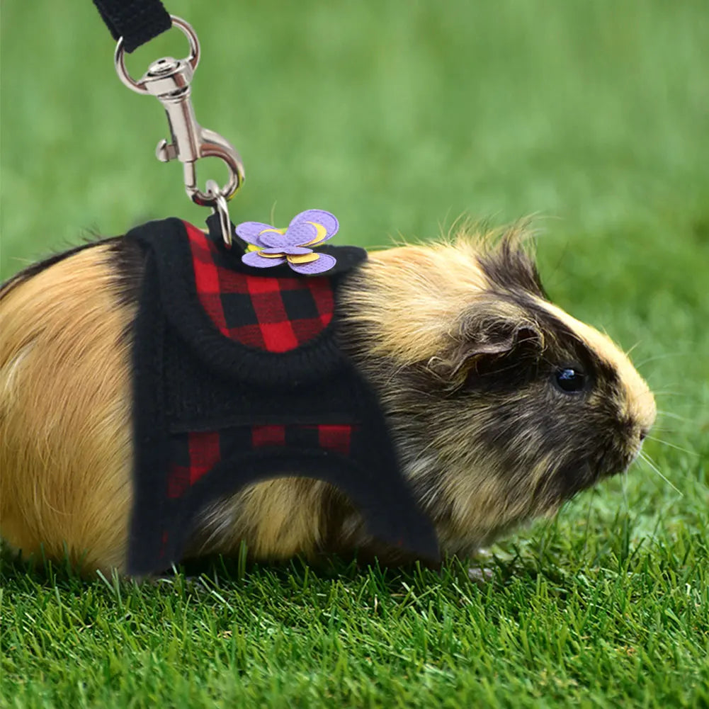Small Pet Chest Strap Traction Leash