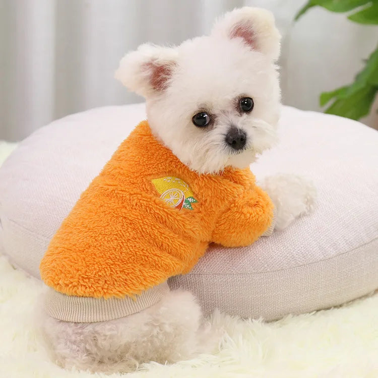 Pet Clothes