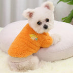Pet Clothes