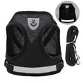 Pet Leash/ Harnesses