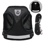 Pet Leash/ Harnesses