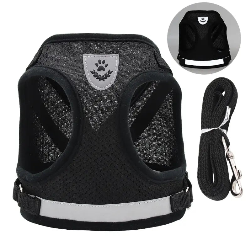 Pet Leash/ Harnesses