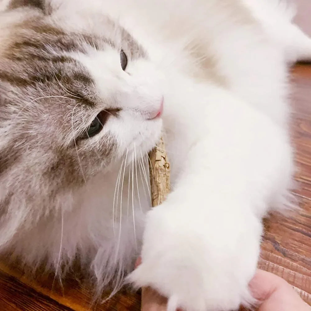 15pcs Natural Catnip Chew Stick