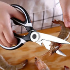 Stainless Steel Scissors
