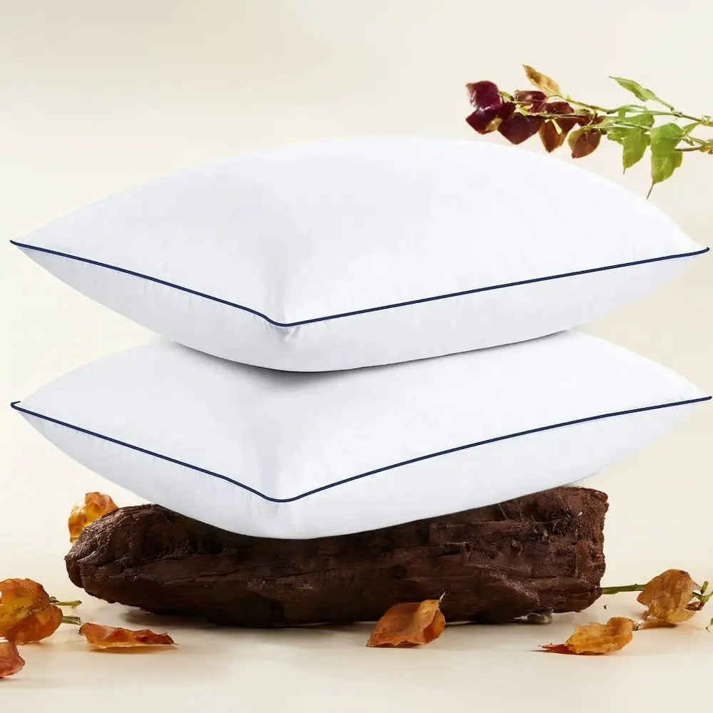 2PC Bed Pillows / Soft Down Alternative