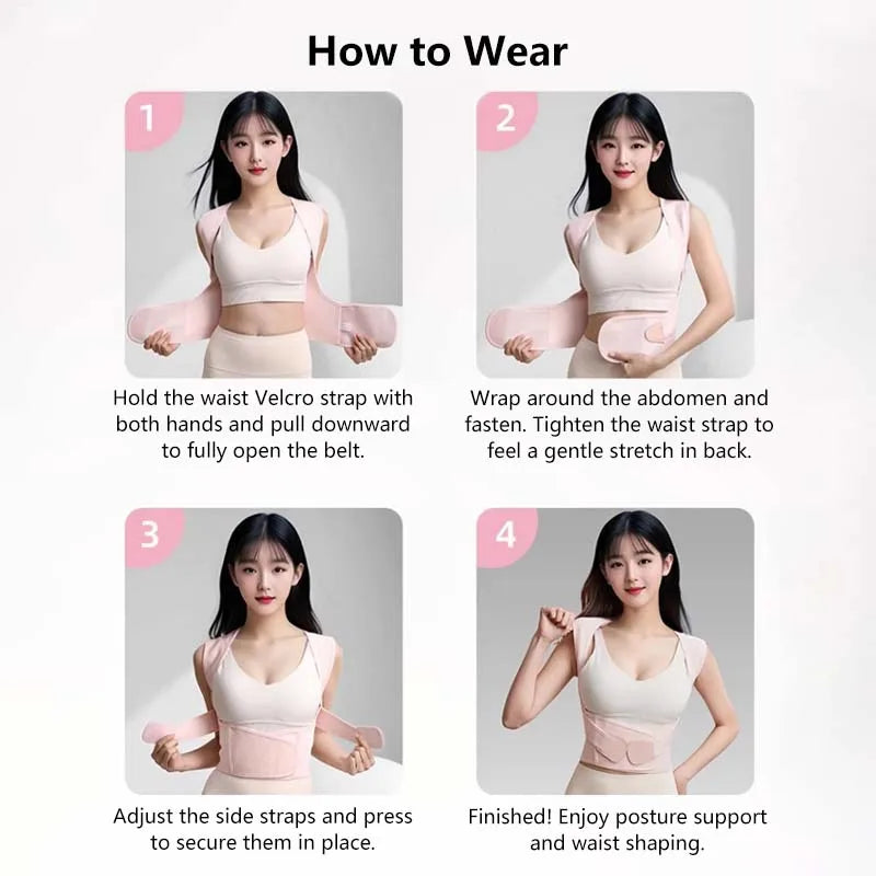 Back Support Belt