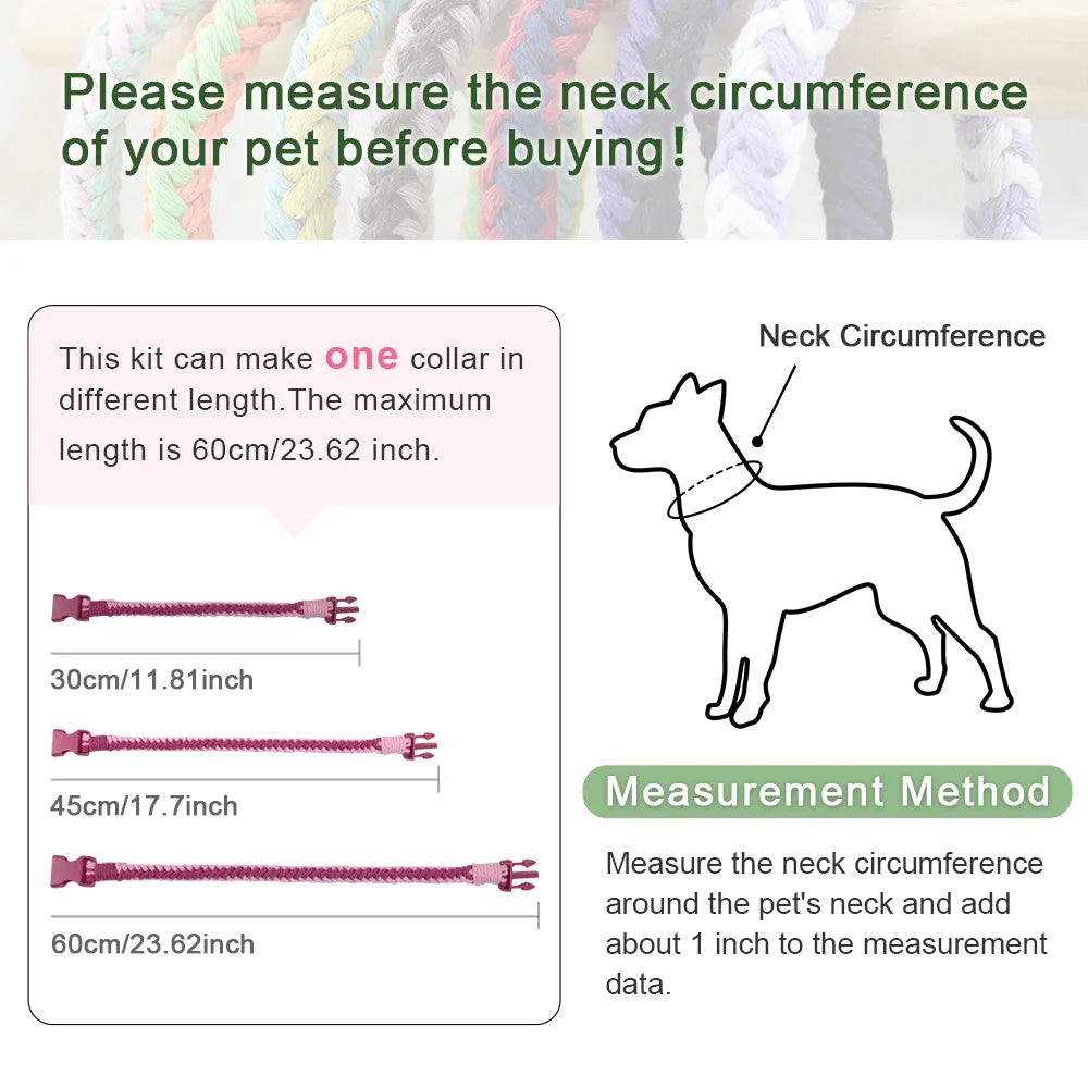 Easy-to-Follow Guide | Pet Daily Wear