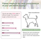 Easy-to-Follow Guide | Pet Daily Wear