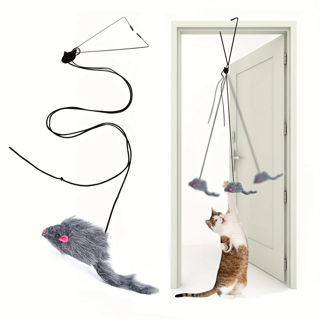 Door Hanging Pet Toy, Stress Relieve