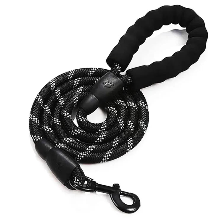 Pet Leash, Reflective
