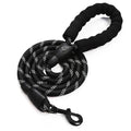 Pet Leash, Reflective