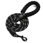 Pet Leash, Reflective