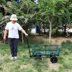 Solid wheels Cart