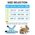 Rabbit Harness with Leash
