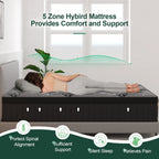 9"12"14"  Memory Foam Pocket  Cool Mattress