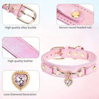 Leather Pet Collar, 8-15''Neck