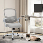 Ergonomic Computer Chair